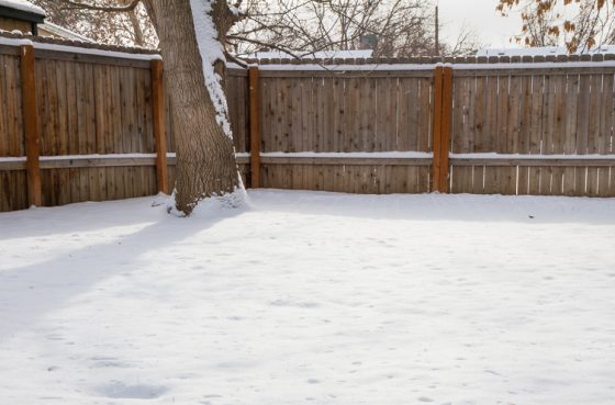 Keep Your Fence Looking Fresh and New All Year Long
