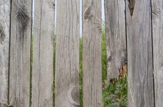 Five Signs It’s Time for New Wood Fence