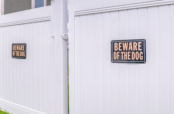 Can My Dog Damage My Vinyl Fence?