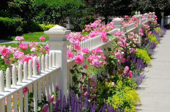 Best Fence Ideas for Your Garden