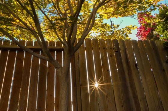 Can a Fence Increase Energy Efficiency for Your Home?